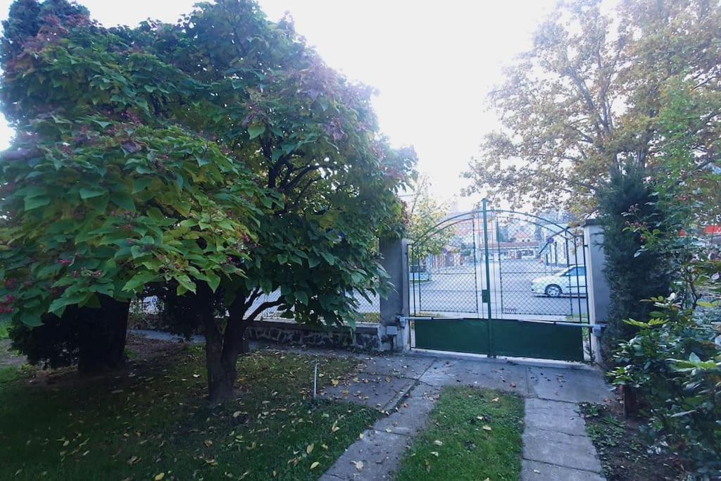 Romantic Villa - Pápa Kültér fotó